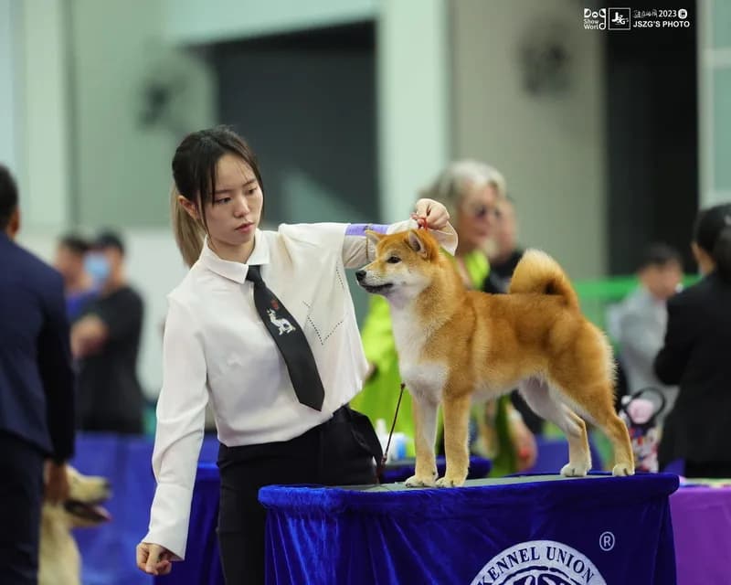 TERRA ASTREYA JESSIKA NUR