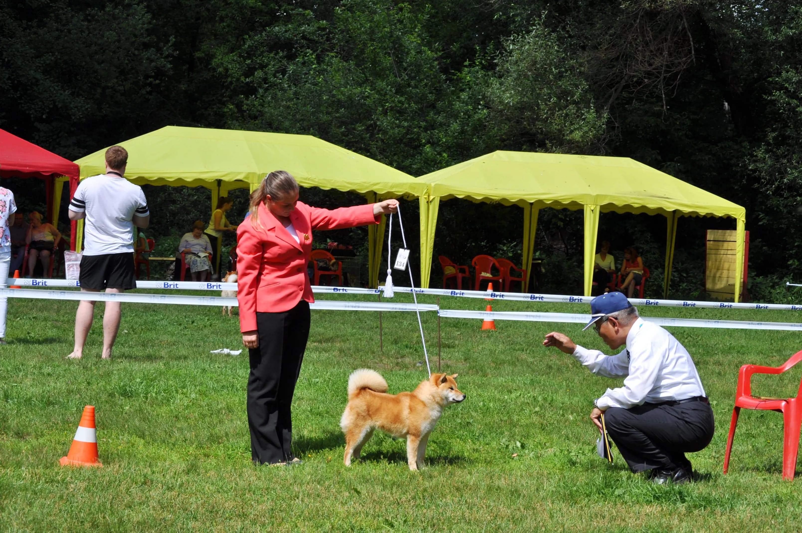 TERRA ASTREYA WABI HIKARI