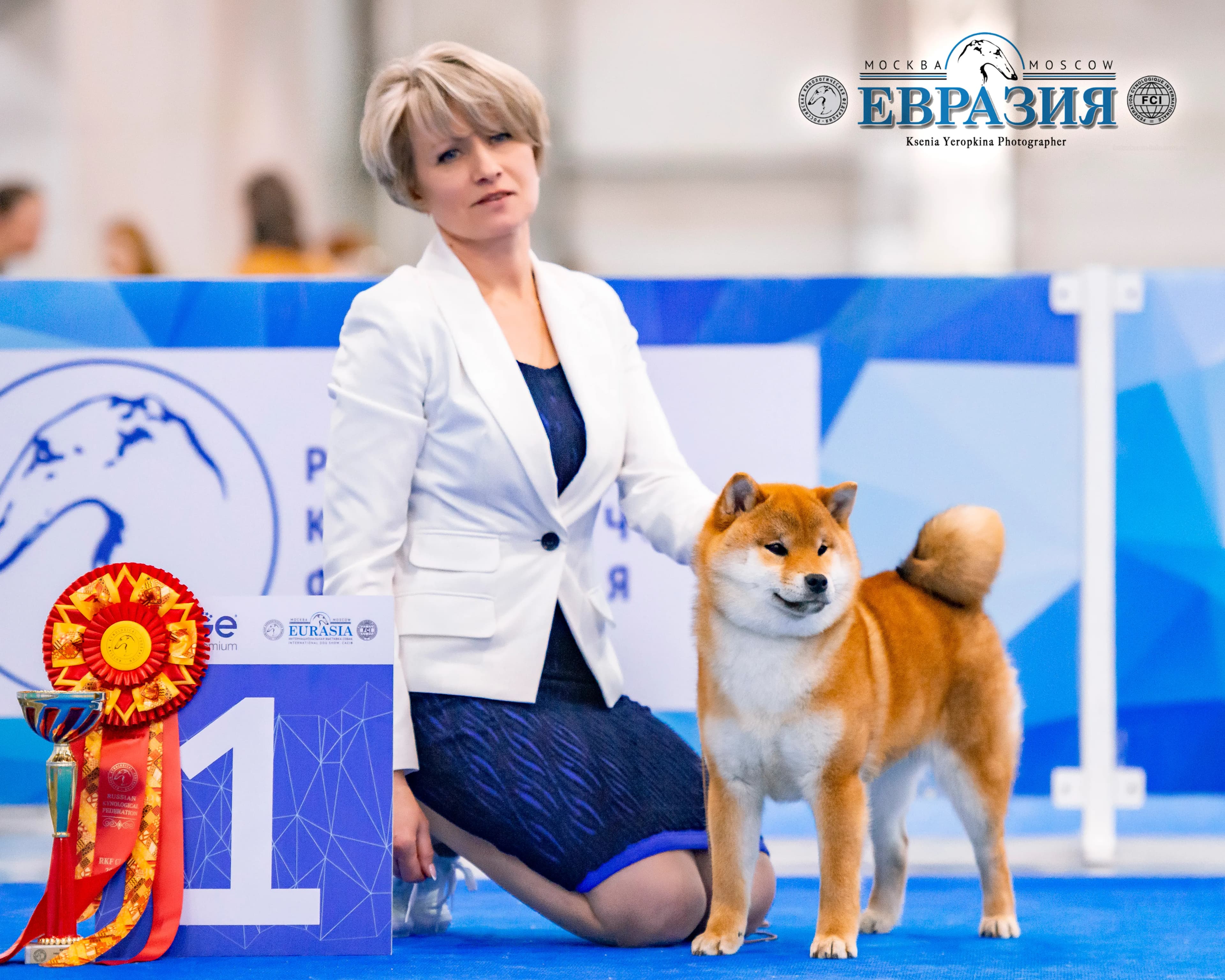 TERRA ASTREYA MOTOYA