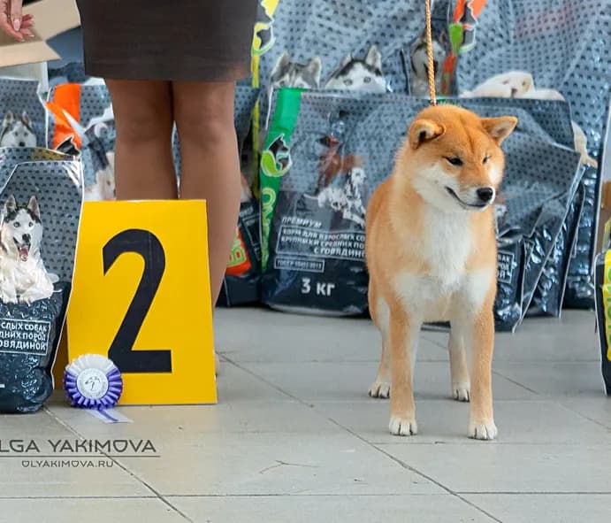 TERRA ASTREYA RINKA SUZUHANA