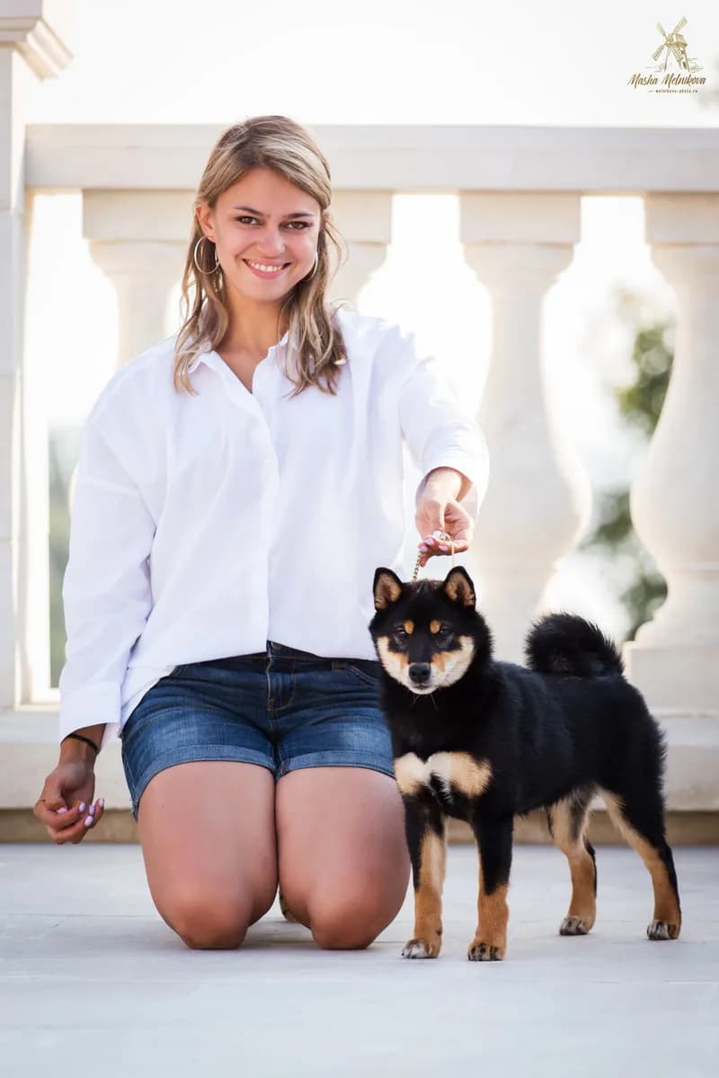 TERRA ASTREYA SHUUREI HOLLI BOB