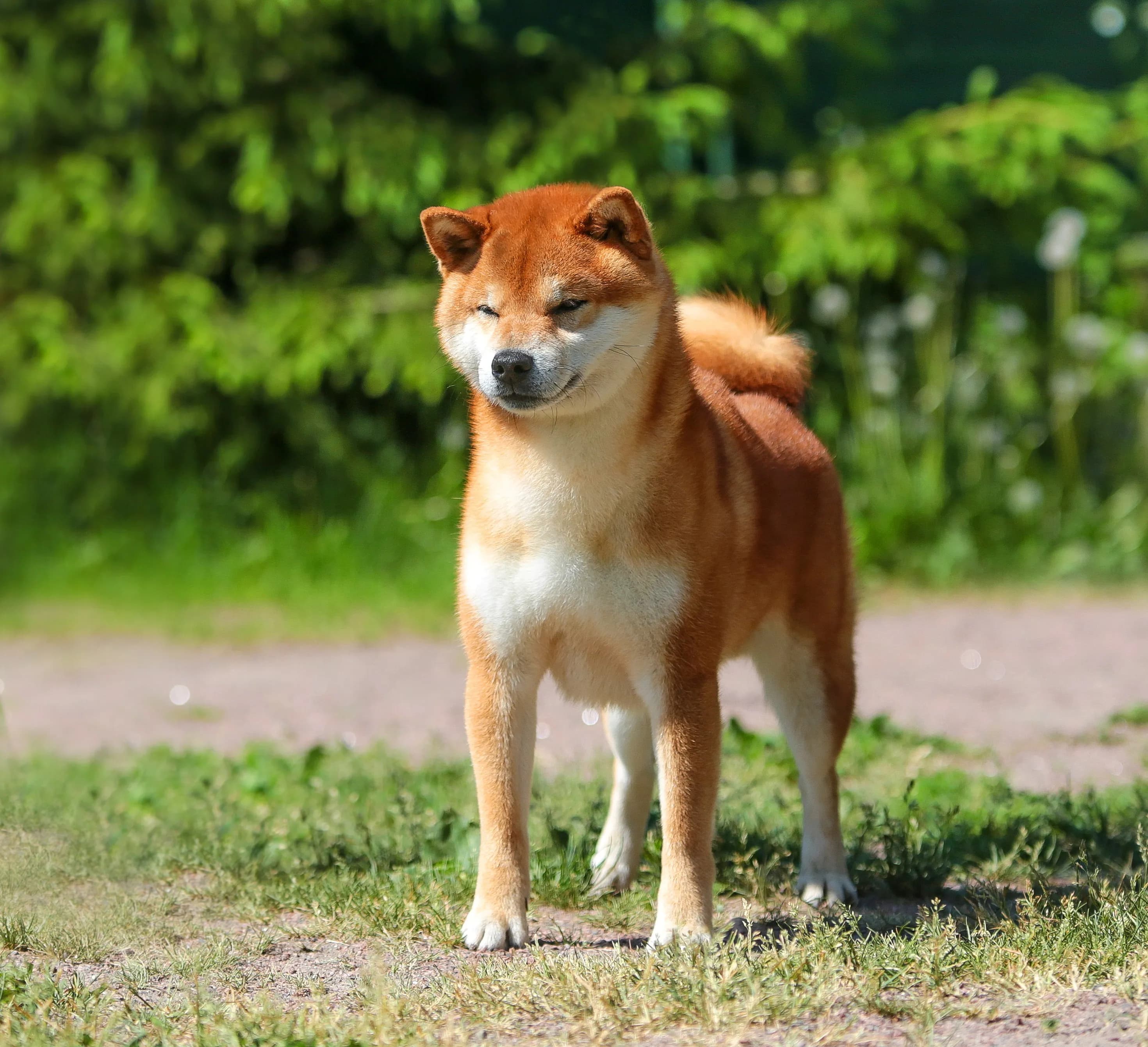 TERRA ASTREYA ISSUI BENIHOMARE