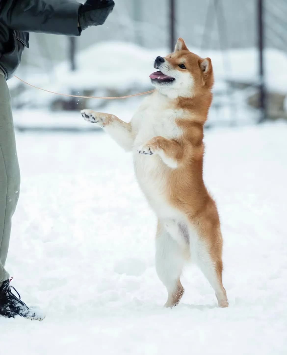 TERRA ASTREYA EIKO KEZUHIRO