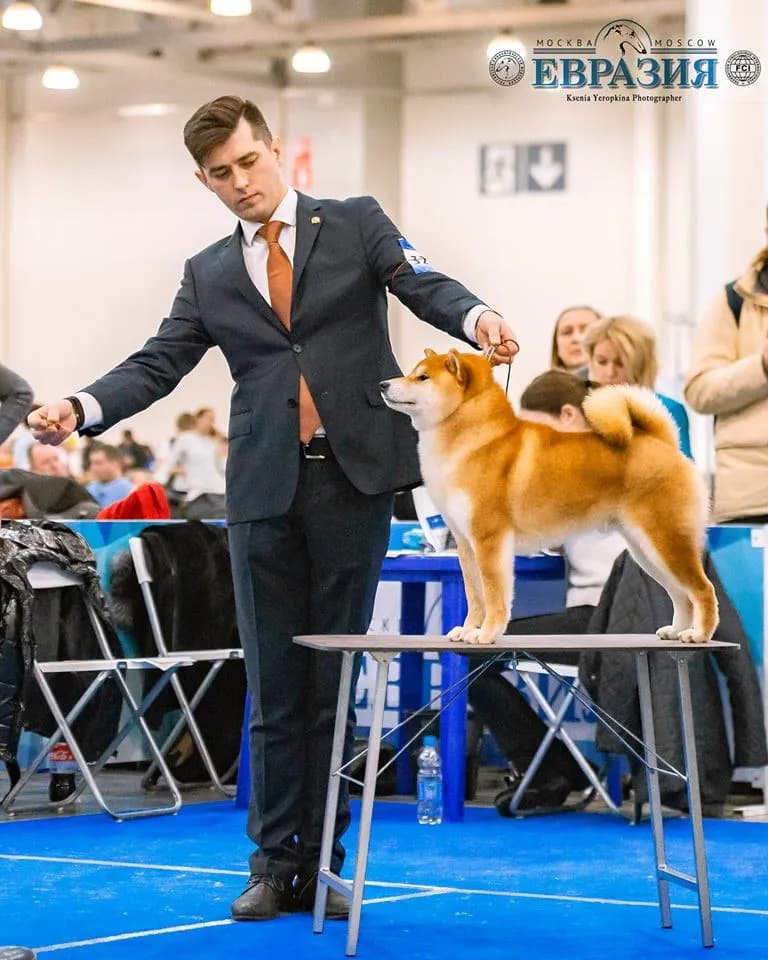 TERRA ASTREYA AKIRA ICHIRO