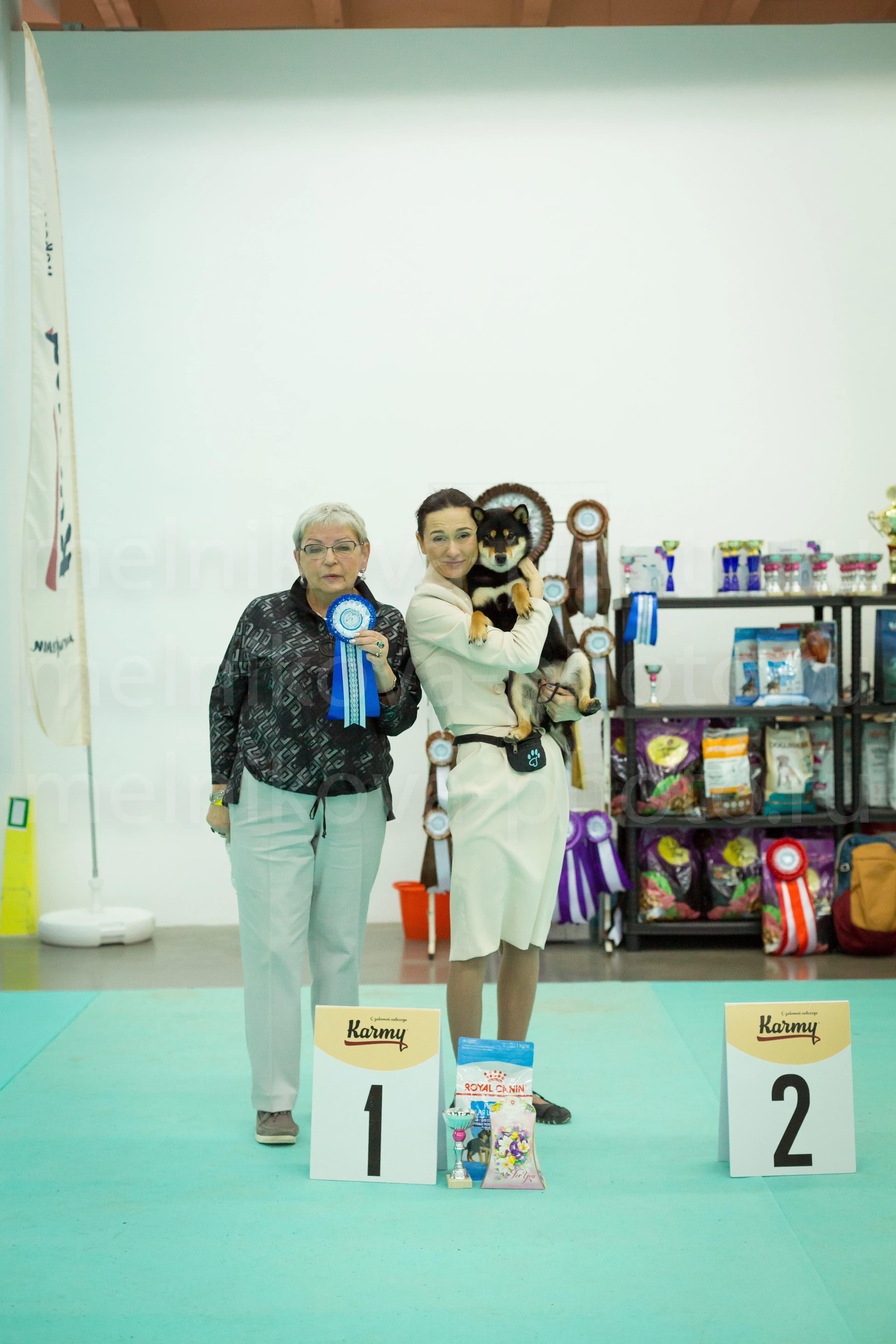 TERRA ASTREYA SHUUREI HOLLI BOB - фон