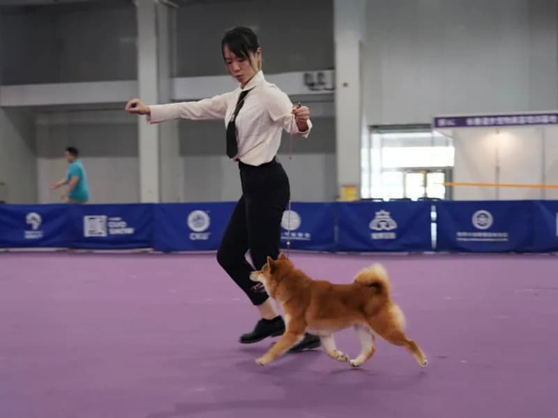 TERRA ASTREYA JESSIKA NUR