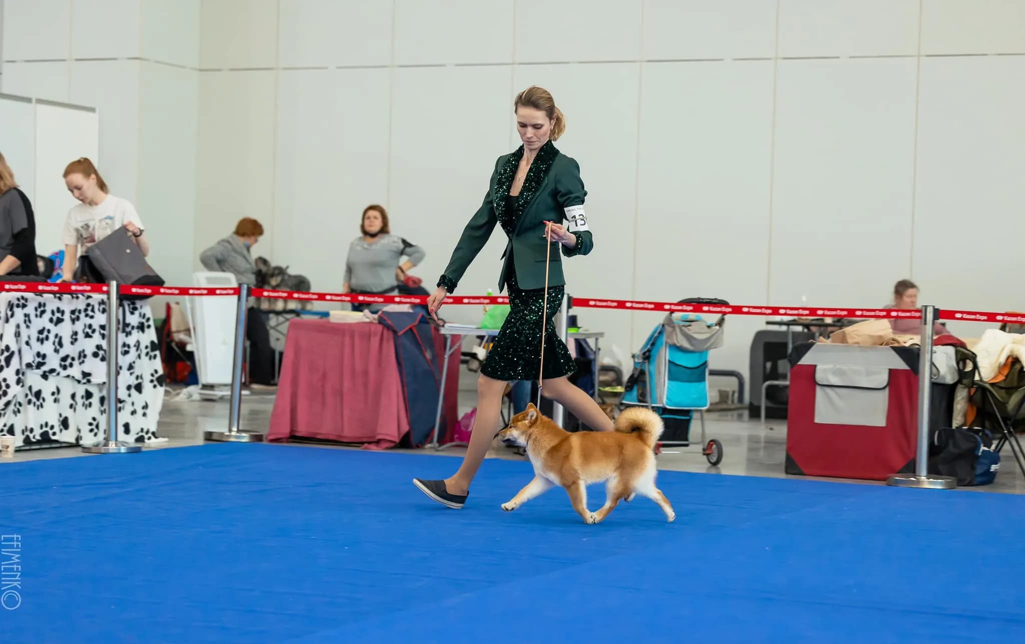 TERRA ASTREYA YAMASAKURA