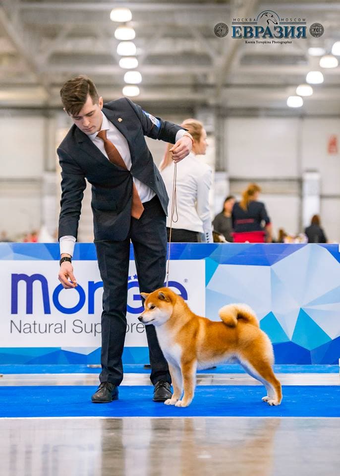 TERRA ASTREYA AKIRA ICHIRO