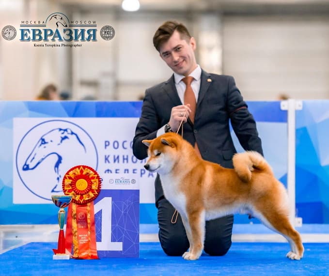 TERRA ASTREYA AKIRA ICHIRO