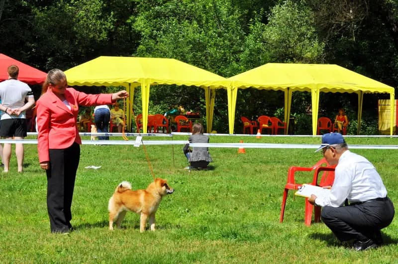 TERRA ASTREYA BENIHANAKOMACHI