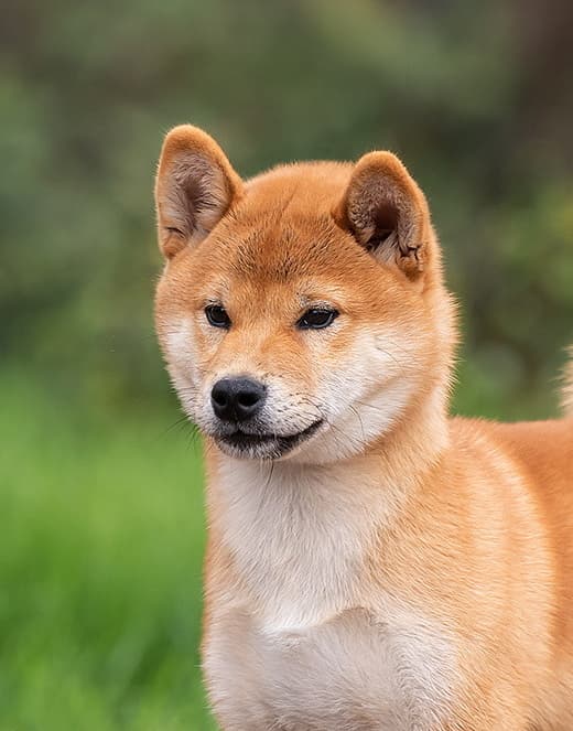 Дебют Тори в классе Беби!